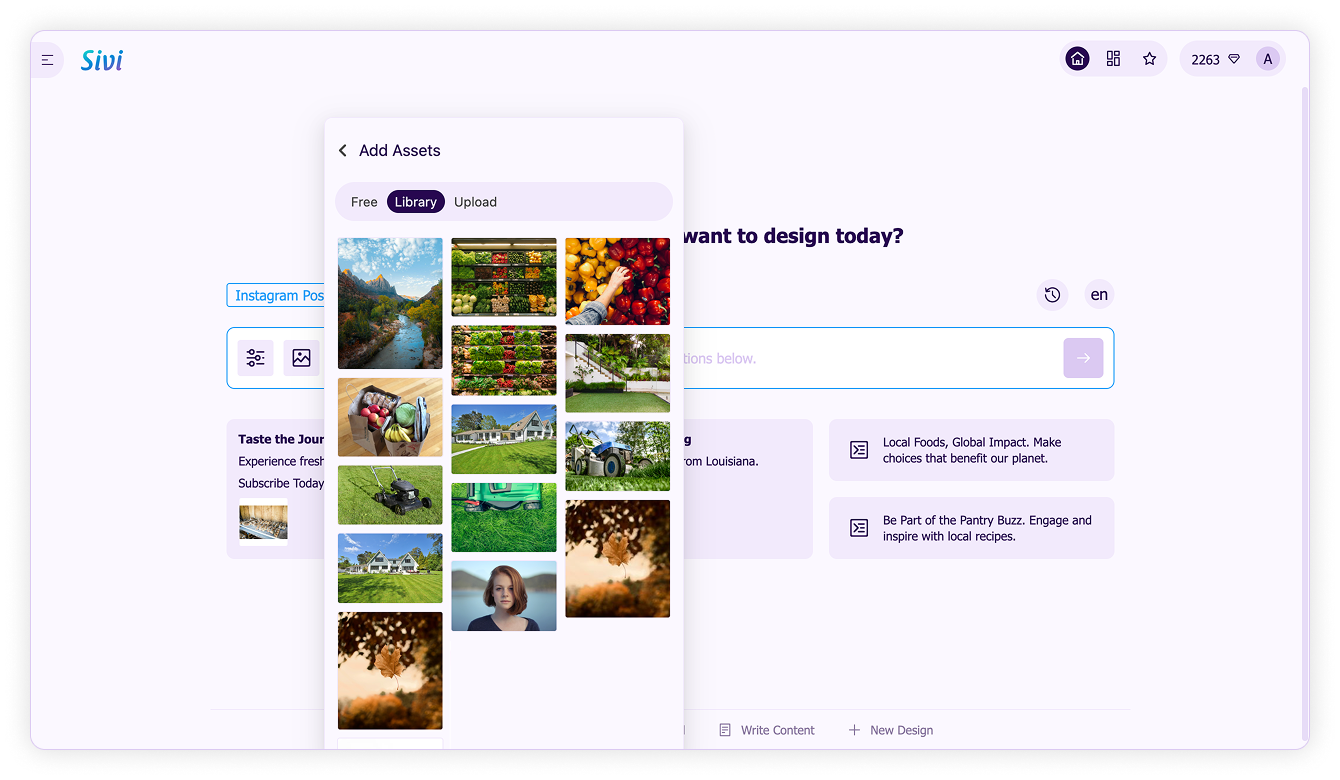 Design assets-Asset library